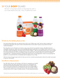 Mangosteen Enhancement Flyer